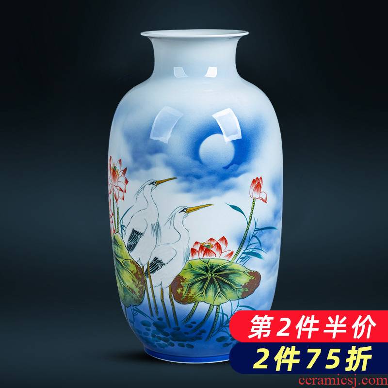 Jingdezhen ceramics hand - made lotus flower vase large floor living room TV ark home flower adornment furnishing articles