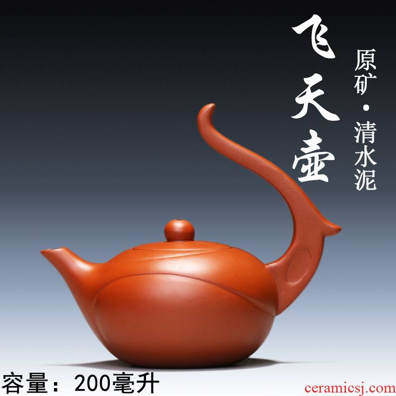 Yixing authentic checking ceramic tea pot - authentic all famous purple sand tea are it clearance flying motorcycle it