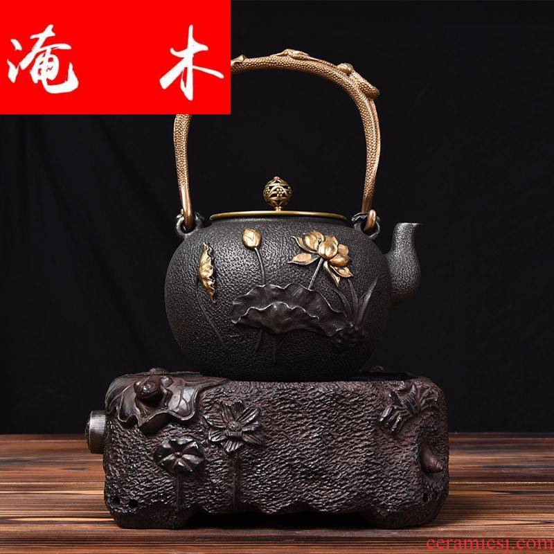 Submerged wood and iron pot of electric TaoLu suit Japanese iron hand mercifully tea pot to boil tea water boiler kung fu tea set