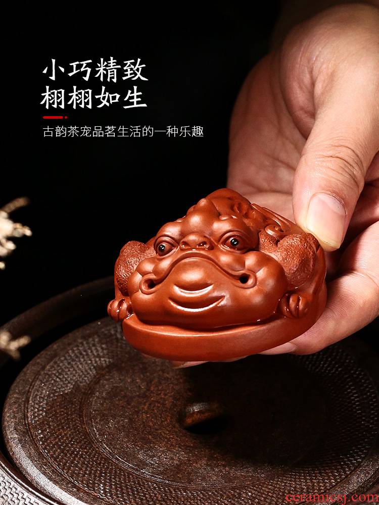 Yixing creative move maxim spittor zhu, violet arenaceous mud small tea pet play color fine furnishing articles tea to keep