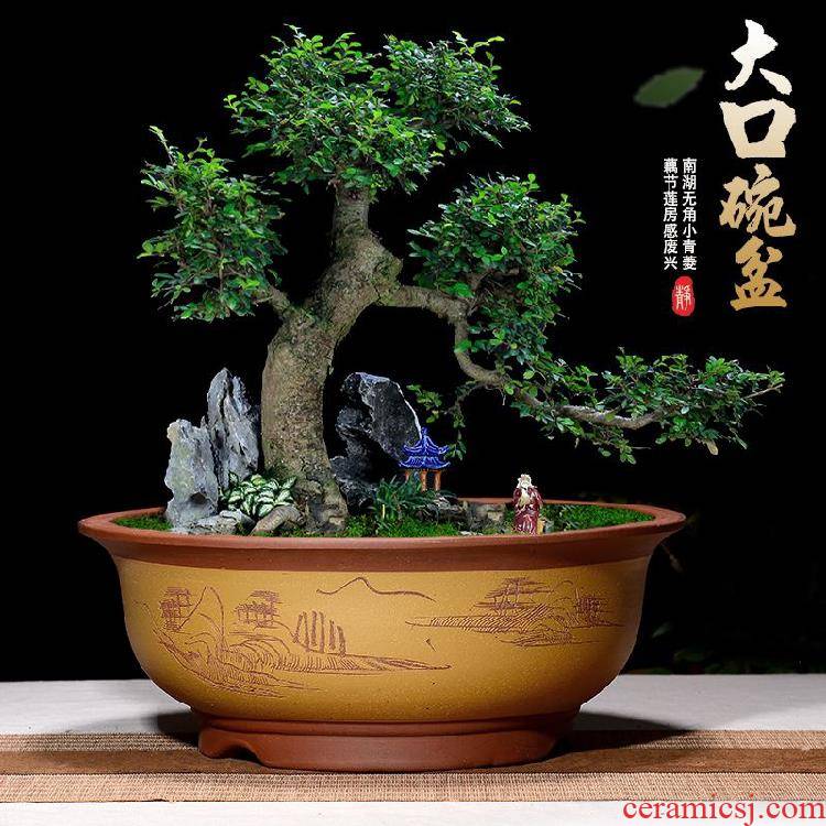 Violet arenaceous super - large diameter round bowl tub old running the fleshy indoor potted flower pot sitting room to the balcony planting trees bonsai pot