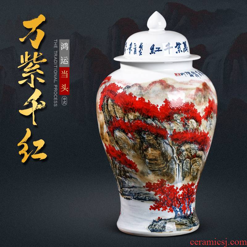 Chinese wine sitting room adornment is placed famous jingdezhen ceramics hand - made the general pot of large storage tank