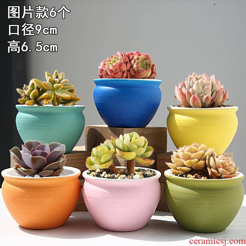 Meaty plant combination potted meat meat flowerpot suit creative move retro ceramic breathable small basin
