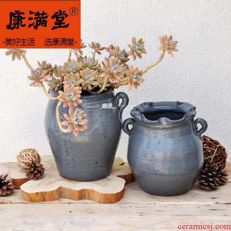 ~ coarse pottery meaty plant pot black ceramic vase household household large flower implement breathable ears POTS.