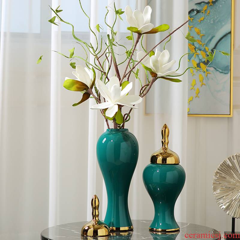 Modern light key-2 luxury ceramic vase is placed between dried flowers flower arrangement table example sitting room TV ark, soft outfit household act the role ofing is tasted