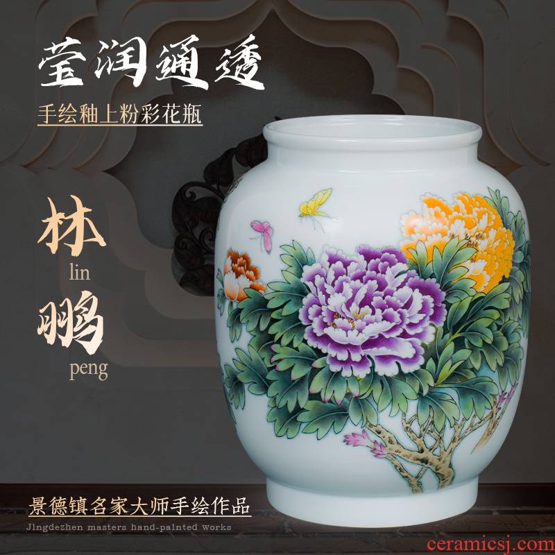 The Master of jingdezhen ceramic powder enamel handpainted Chinese penjing decorative vase flower arranging the sitting room porch porcelain arts and crafts
