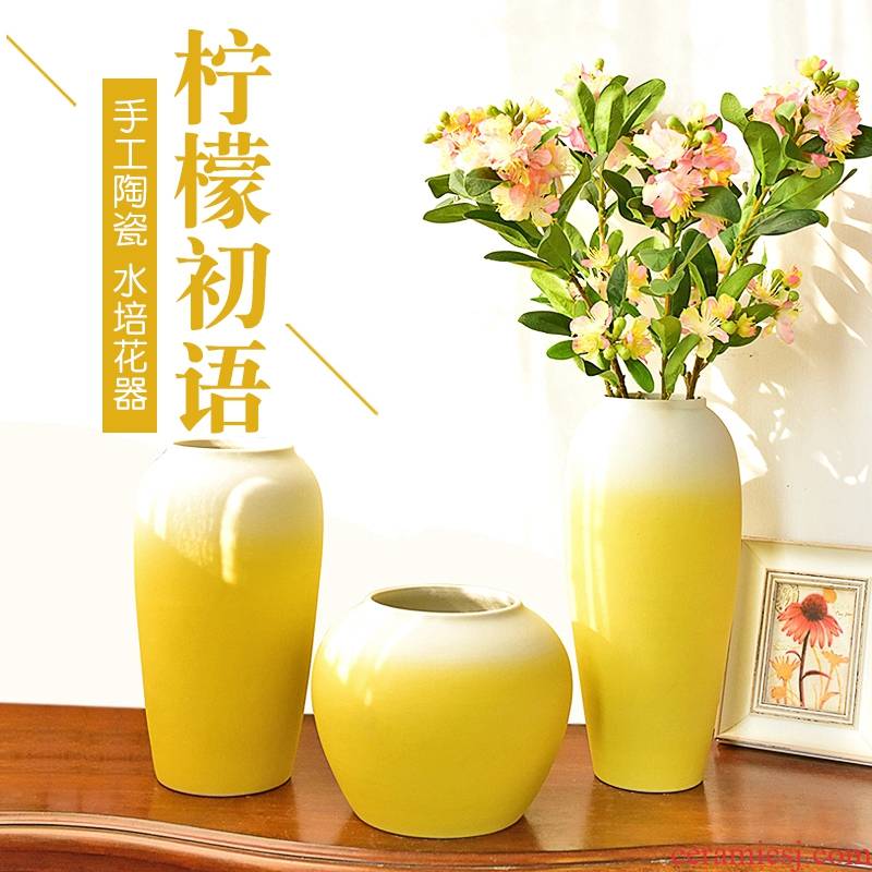 The new Angle of what Chinese style is I furnishing articles of jingdezhen ceramic vase in The sitting room porch TV ark, decoration home decoration