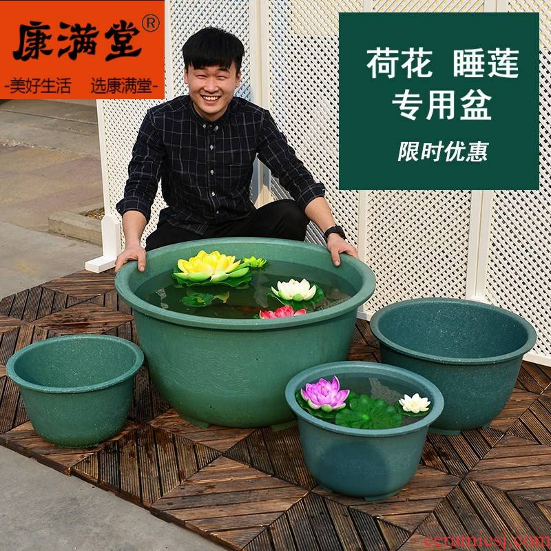 Species even OuHua basin water lily of the tank to keep water lily 's special pot fish more pinkish red pot lotus root plant POTS