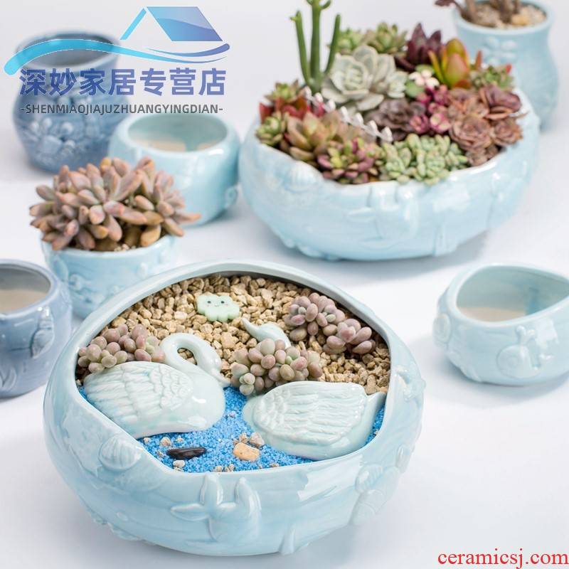 Fleshy flowerpot clearance creative move micro plant landscape of large diameter small lovely home flowerpot ceramics