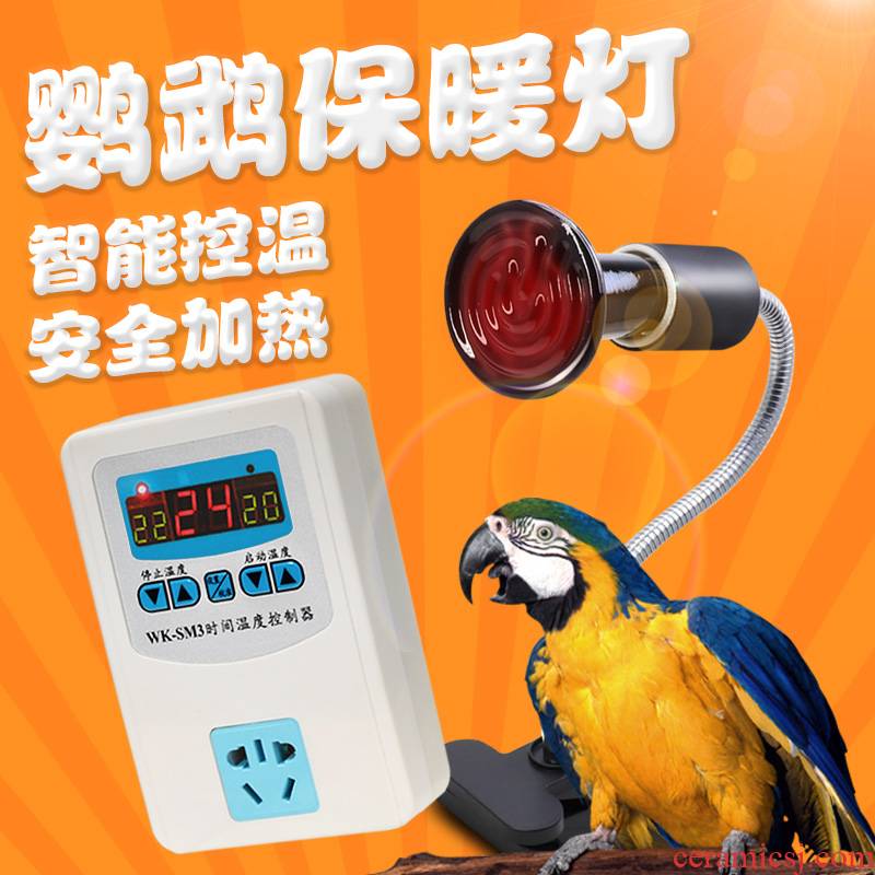 Cockatiel parrot bird with warm light warm heating thermostatic incubator heater heating ceramic lamp socket winter supplies