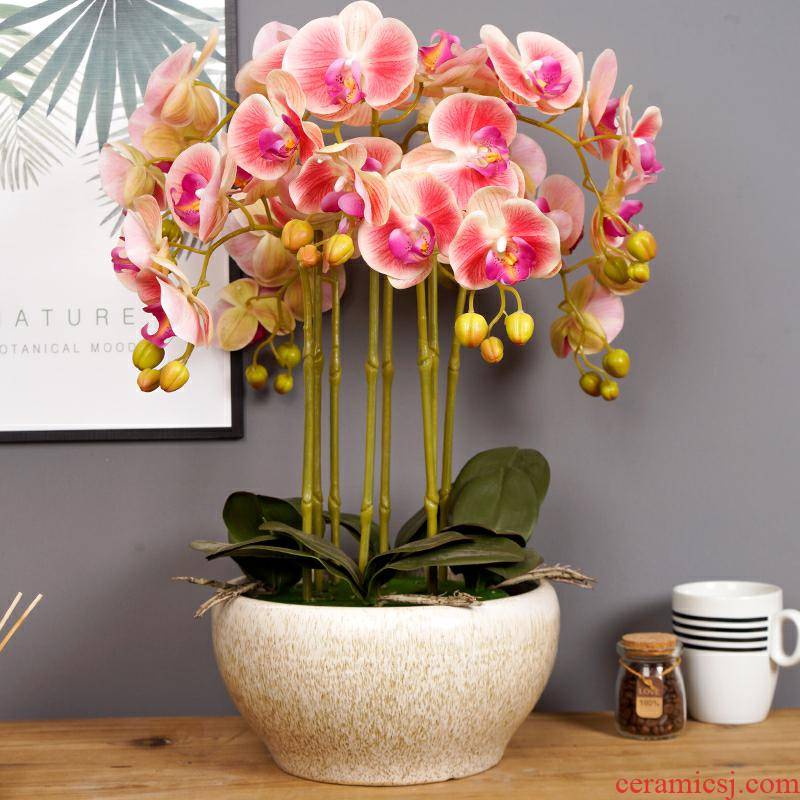 Nordic contracted white ceramic flower pot planting a butterfly orchid other clivia place flowers the opened during the Spring Festival