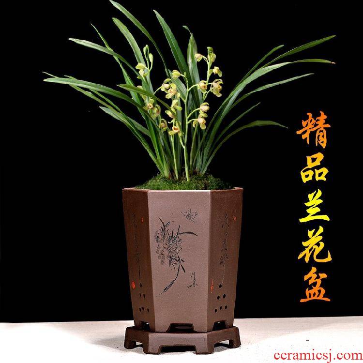 Yixing purple sand flowerpot basin gentleman orchid basin with tray was paint the six - party bluegrass bonsai pot indoor ceramic POTS