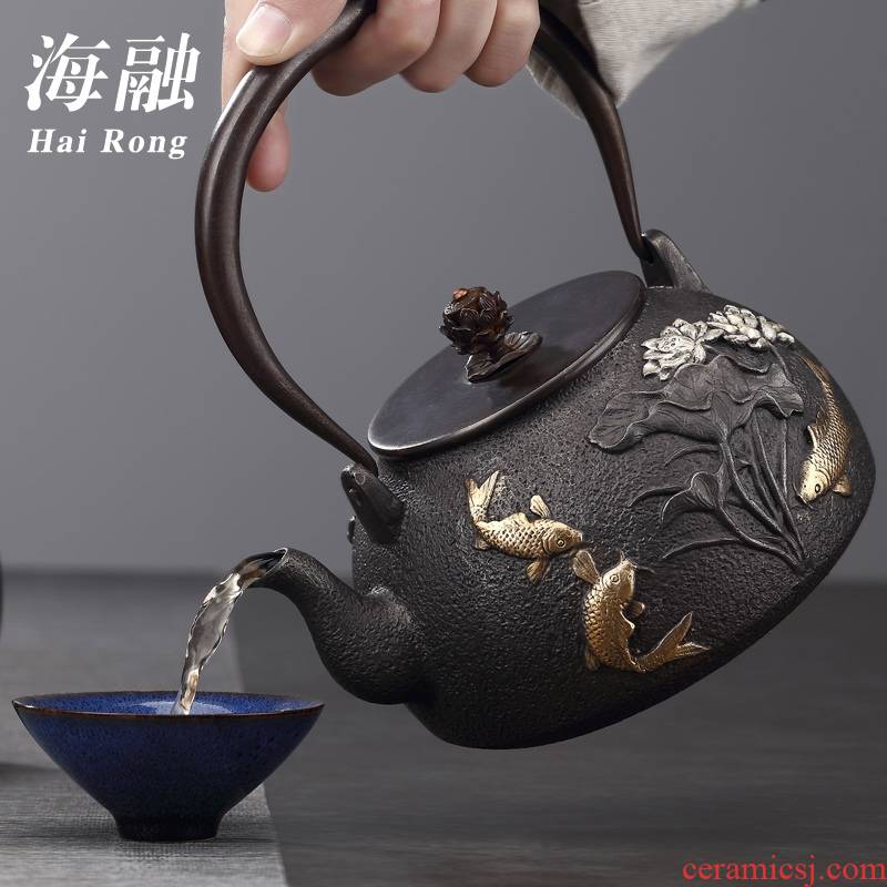 For cast iron pot of tea kettle manually electricity TaoLu home cooked this teapot tea stove suit kung fu tea set