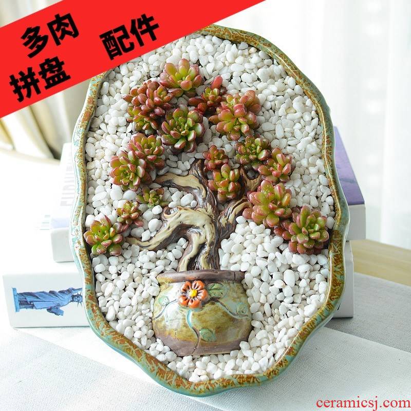 Large extra Large fleshy flowerpot gadgets gardening landscape bonsai branches fleshy decorative ceramic furnishing articles wholesale