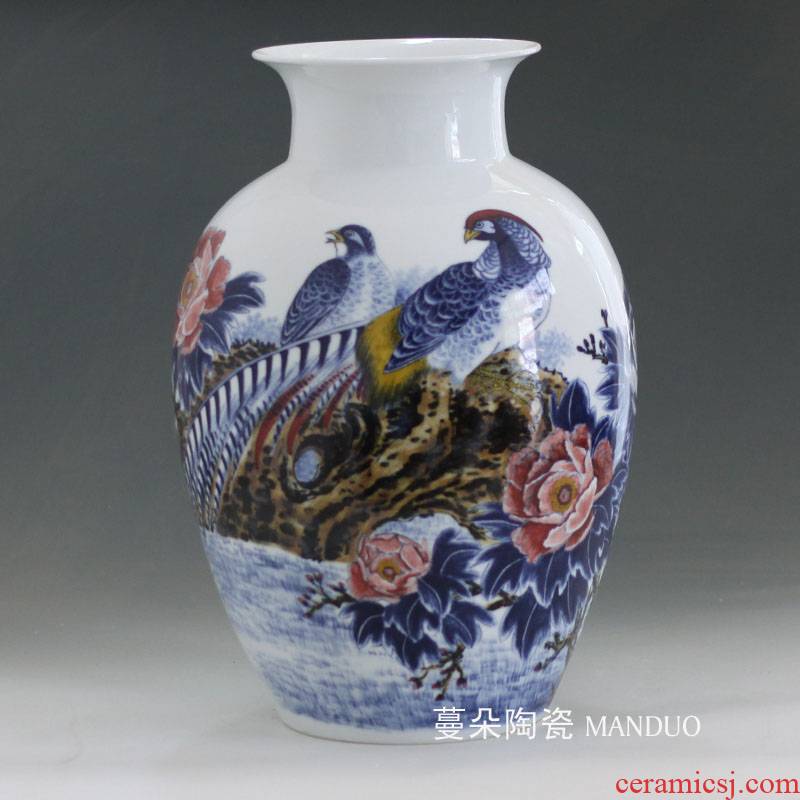Jingdezhen gift display high - grade porcelain vase rich furnishings the implies a housewarming gift vase appreciation vase