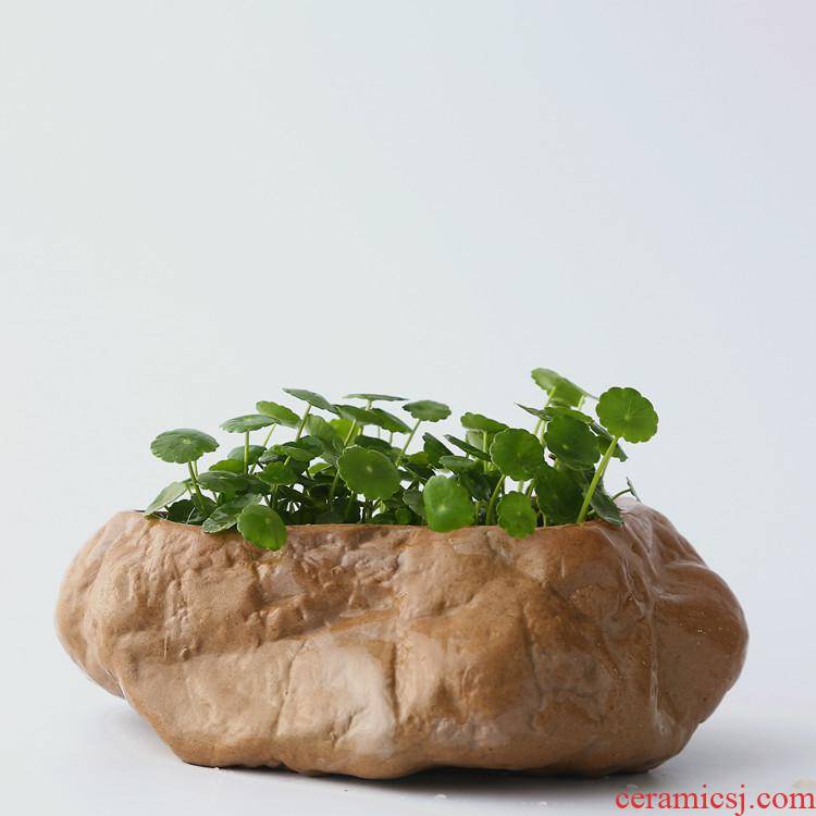 Stone flower pot water ridging meat ceramic flowerpot indoor potted flowers, potted grass cooper RouTou flower stones