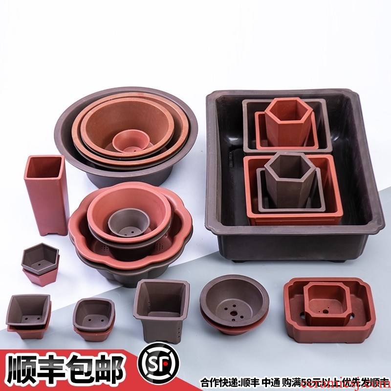 Bonsai POTS of small and medium - sized imitation of violet arenaceous basin rectangle rounded square shallow pot base plastic resin flower pot