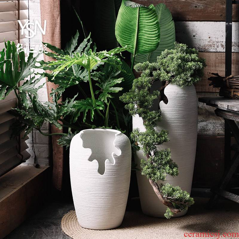 Royal three old running more meat mud POTS furnishing articles ceramic vase expressions using the open fissure abnormity white thread landing flowerpot