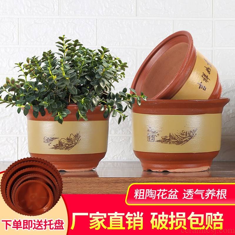 Extra large flower pot purple sand clay ceramic clearance flowerpot high - grade ground potted orchid flowers, green plant