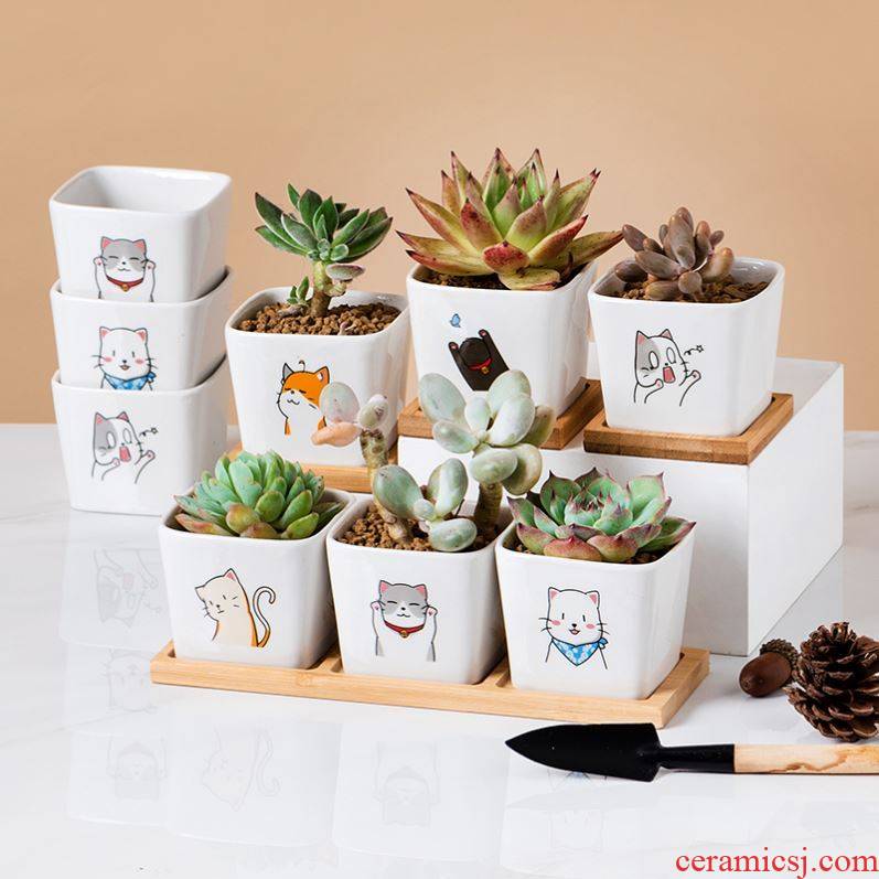 How express cat meat flowerpot square design contracted creative cartoon ceramic flesh POTS with bamboo package mail