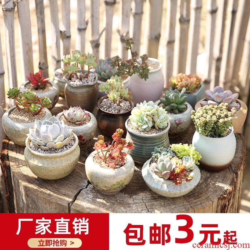 Jingdezhen coarse pottery hand - made creative move flower pot in ceramic POTS of meat the plants more lovely bag mail special offer a clearance
